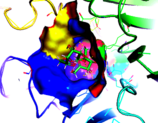 Ligand docking